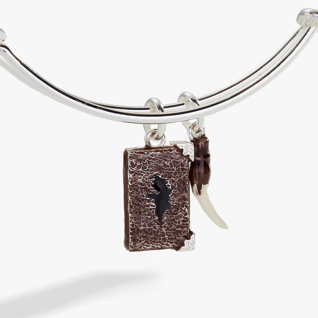 Harry Potter™ Diary and Basilisk Fang Bangle