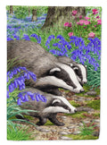 Badgers Garden Flag Mailbox Decorative Yard Banner Outside Patio Artwork for Flower Beds, Garden Size, Multicolor