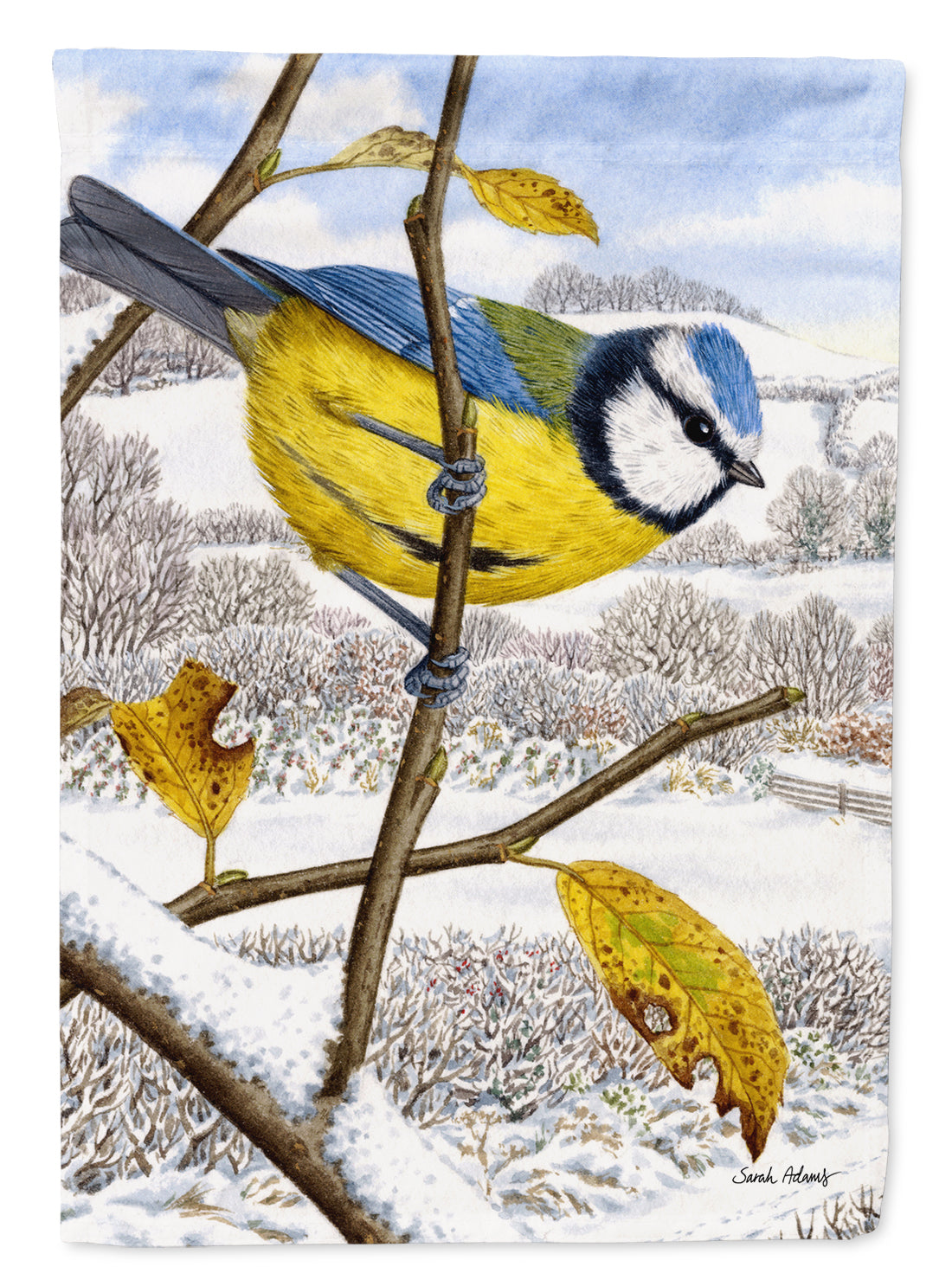 Eurasian Blue Tits Bird Garden Flag Mailbox Decorative Yard Banner Outside Patio Artwork for Flower Beds, Garden Size, Multicolor