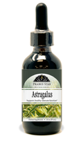 Astragalus