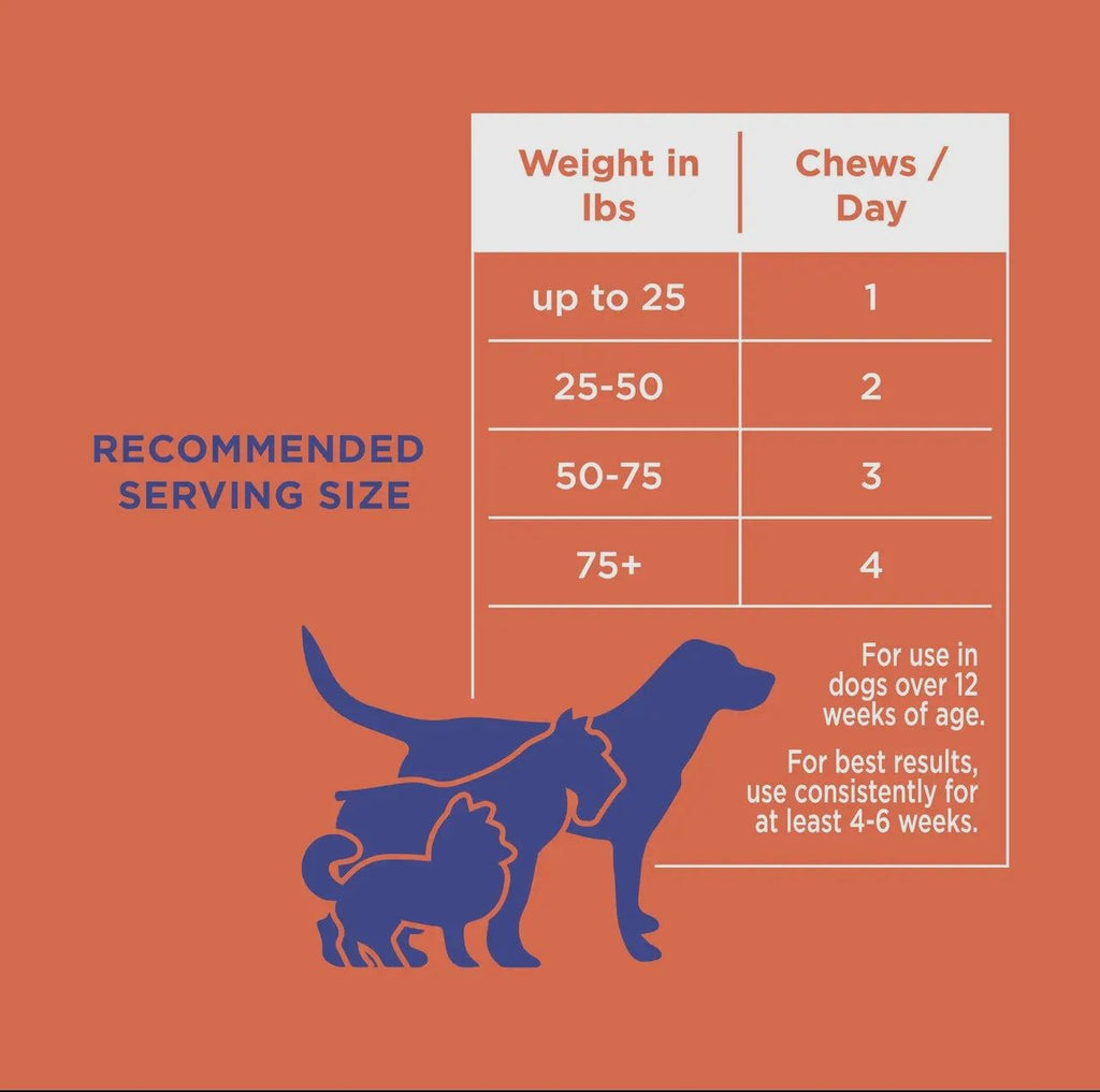 🦴🐾 Hip & Joint Support Soft Chews for Dogs – Glucosamine, Chondroitin, MSM & Turmeric