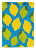 Lemons and Limes Garden Flag Mailbox Decorative Yard Banner Outside Patio Artwork for Flower Beds, Garden Size, Multicolor