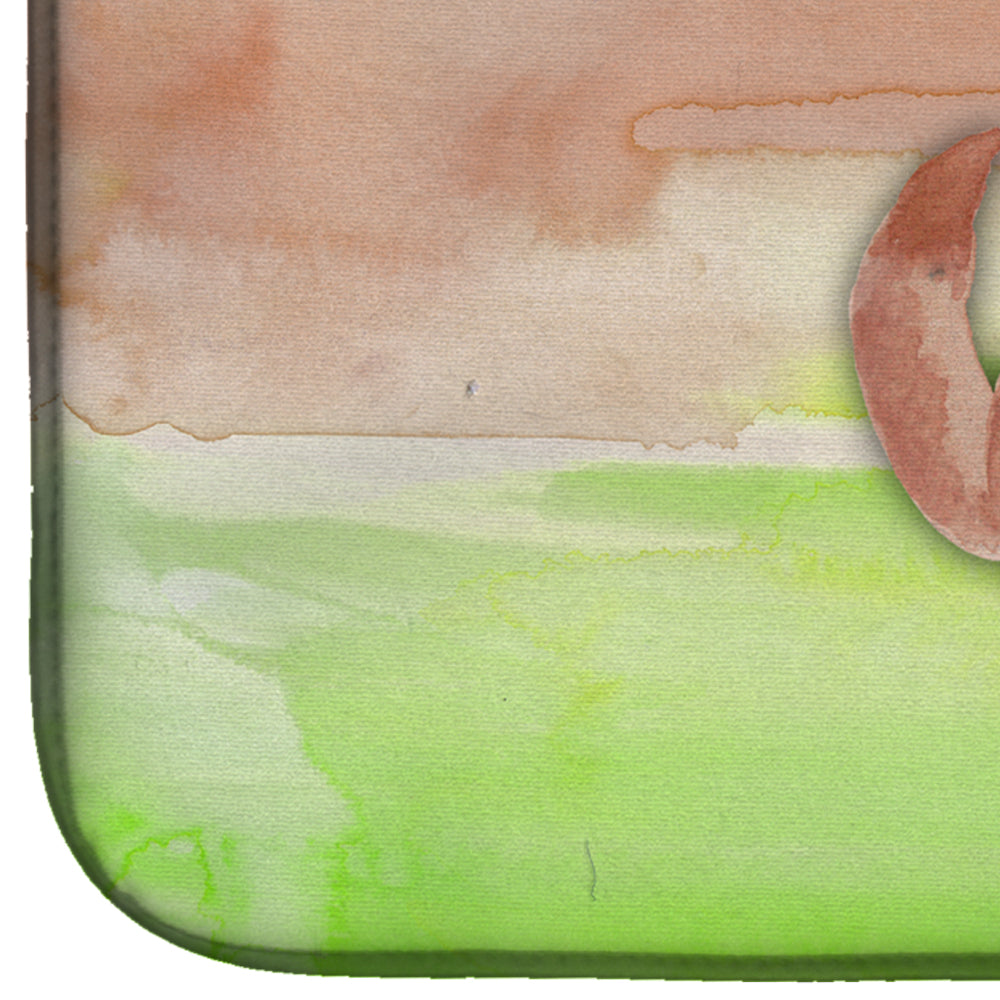 Dog Green and Brown Watercolor Dish Drying Mat Absorbent Dish Drying Mat Pad for Kitchen Counter Dish Drainer Mat for Countertop, 14 x 21", Multicolor
