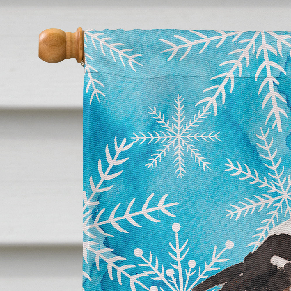 Tricolor Cavalier Spaniel Winter House Flag 28x40 Porch Sleeve Pole Decorative Outside Yard Banner Artwork Wall Hanging, Polyester