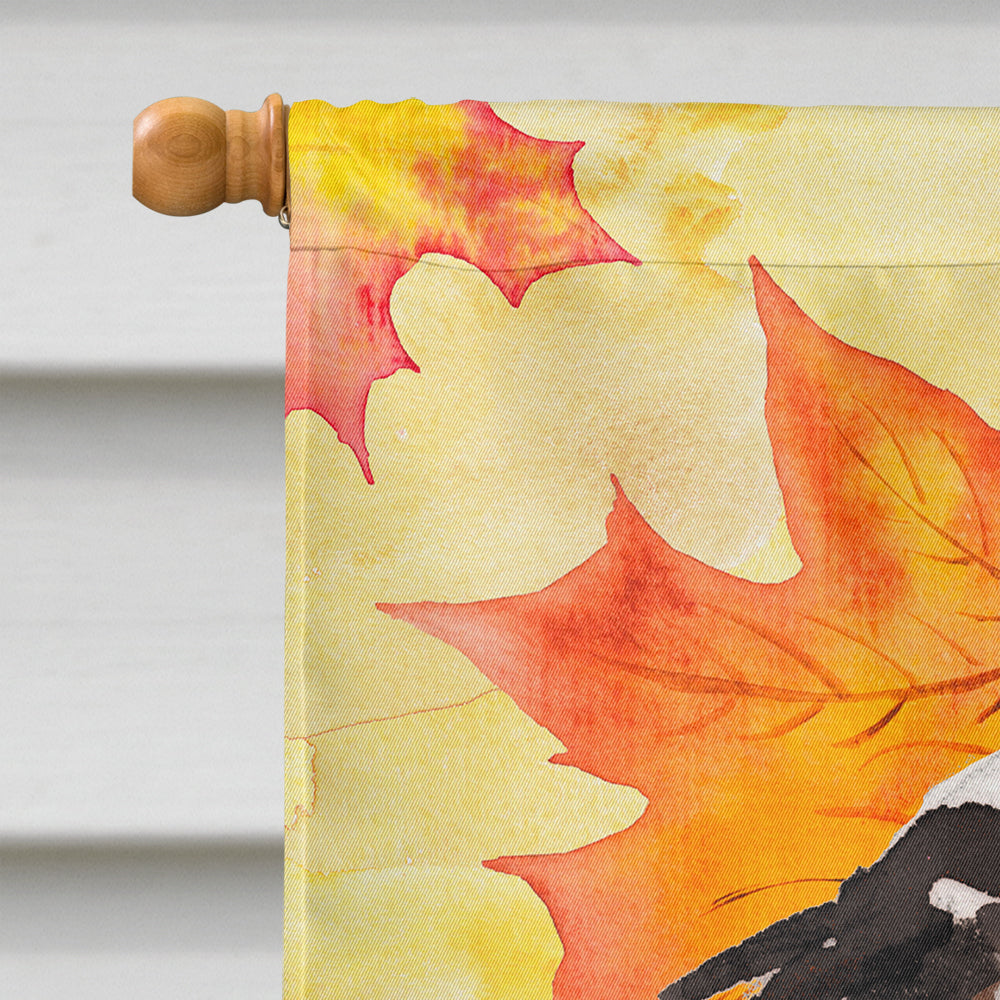 Tricolor Cavalier Spaniel Fall House Flag 28x40 Porch Sleeve Pole Decorative Outside Yard Banner Artwork Wall Hanging, Polyester