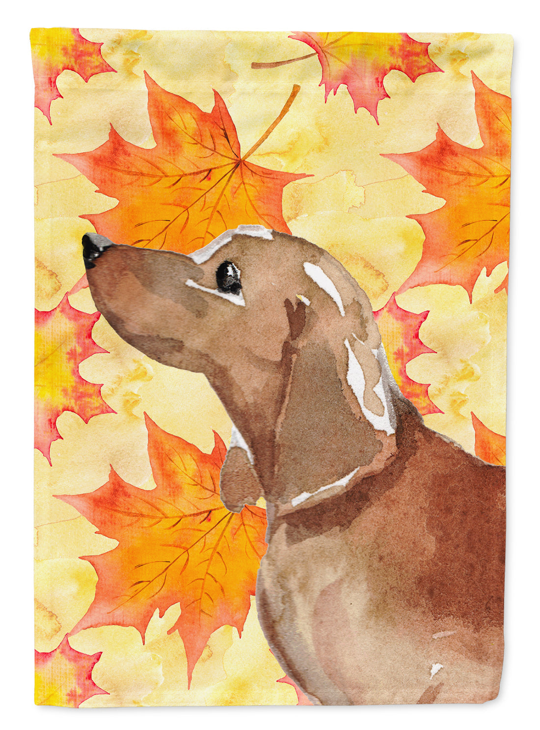 Red Tan Dachshund Fall Garden Flag Mailbox Decorative Yard Banner Outside Patio Artwork for Flower Beds, Garden Size, Multicolor