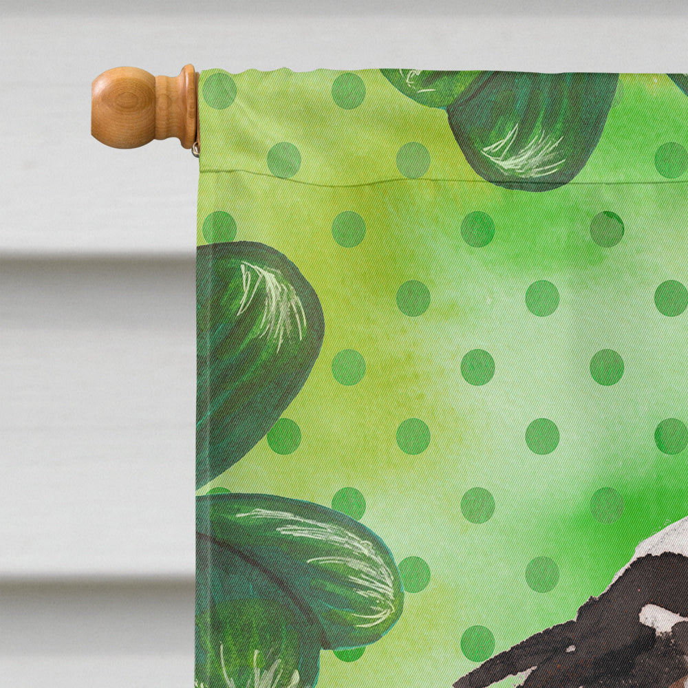 Tricolor Cavalier Spaniel St. Patrick's House Flag 28x40 Porch Sleeve Pole Decorative Outside Yard Banner Artwork Wall Hanging, Polyester