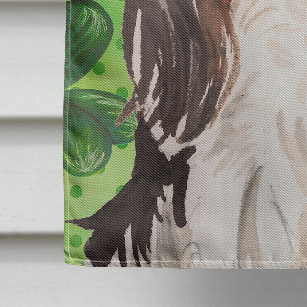 Tricolor Cavalier Spaniel St. Patrick's House Flag 28x40 Porch Sleeve Pole Decorative Outside Yard Banner Artwork Wall Hanging, Polyester