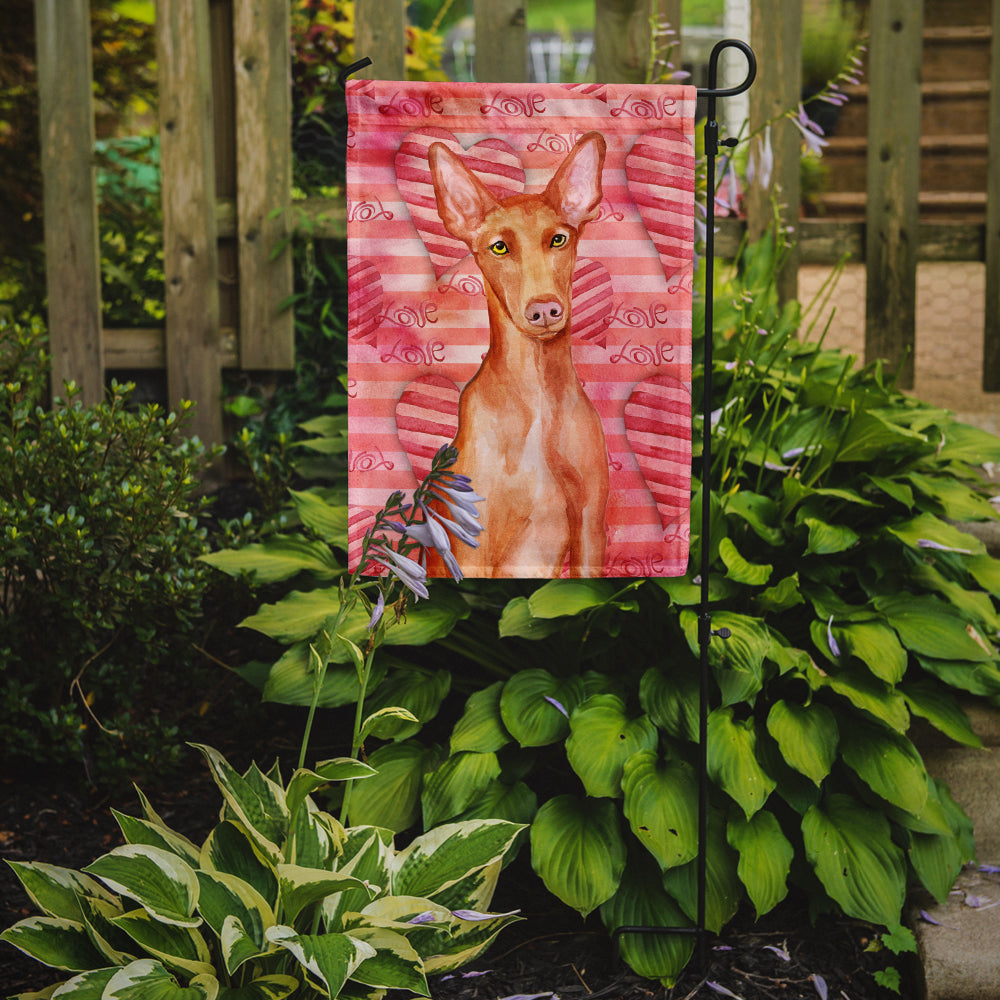 Pharaoh Hound Love Garden Flag Mailbox Decorative Yard Banner Outside Patio Artwork for Flower Beds, Garden Size, Multicolor