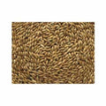 CANARY SEED 50 LBS - ALPISTLE 50LB