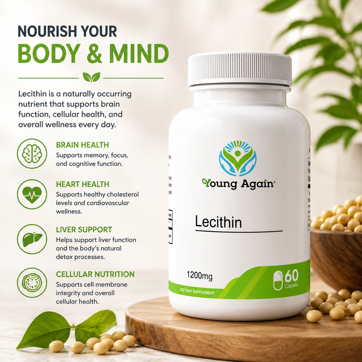 Lecithin Phosphatidyl Choline For Cholesterol Levels