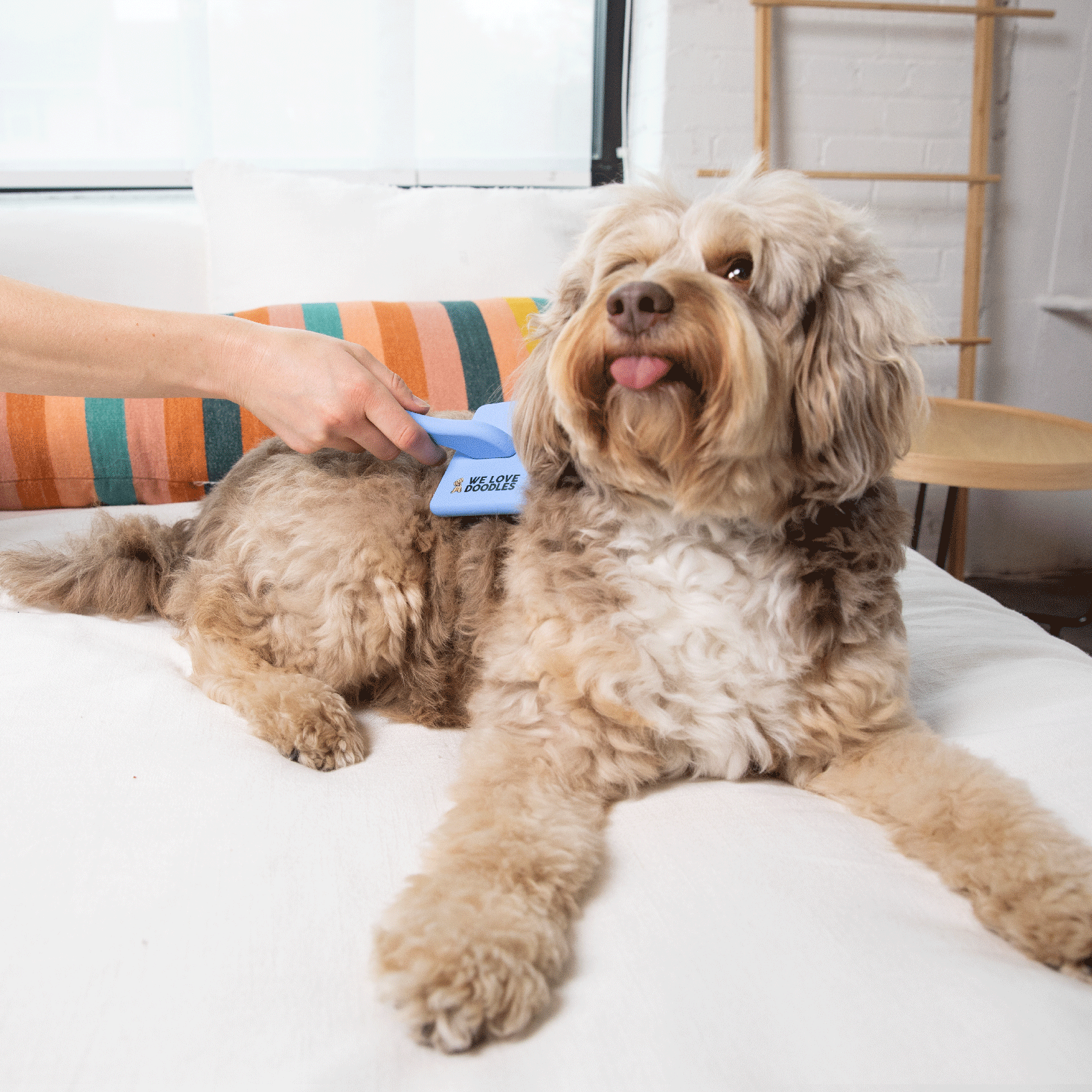Slicker Brush for Dogs