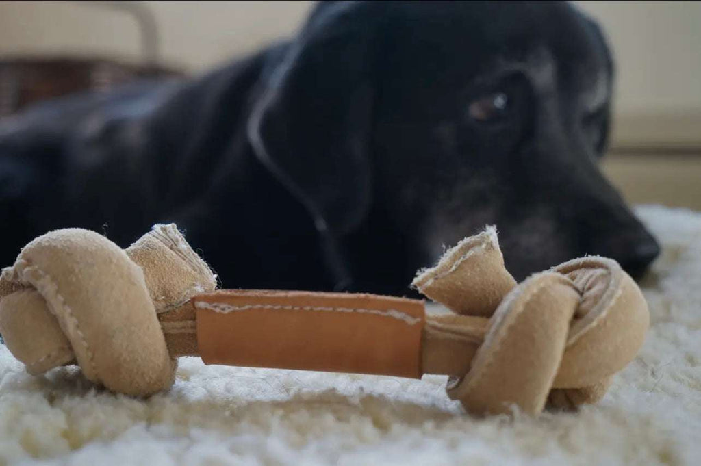 🦴🐾 Huggle-Hide Natural Leather Knotted Toy
