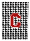 Letter C Monogram - Houndstooth Black Garden Flag Mailbox Decorative Yard Banner Outside Patio Artwork for Flower Beds, Garden Size, Multicolor