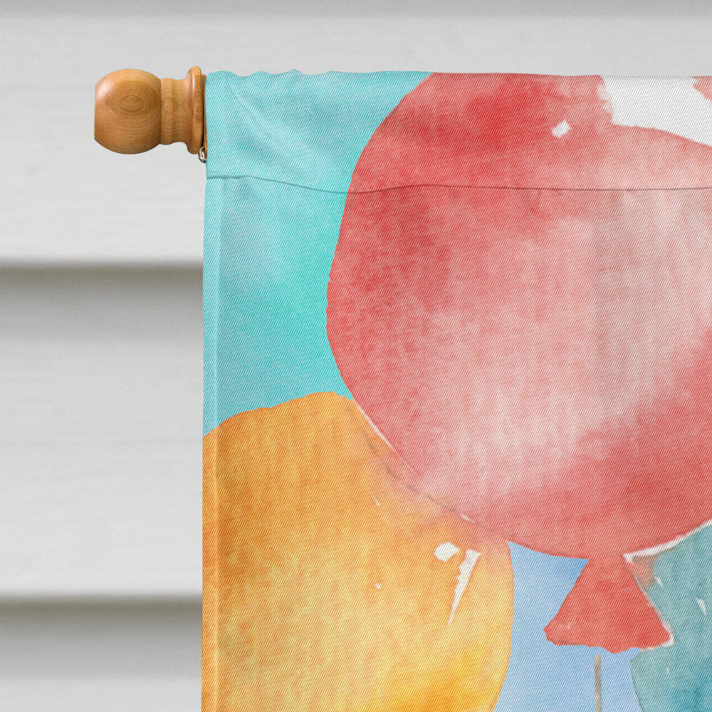 Bombay Happy Birthday House Flag 28x40 Porch Sleeve Pole Decorative Outside Yard Banner Artwork Wall Hanging, Polyester