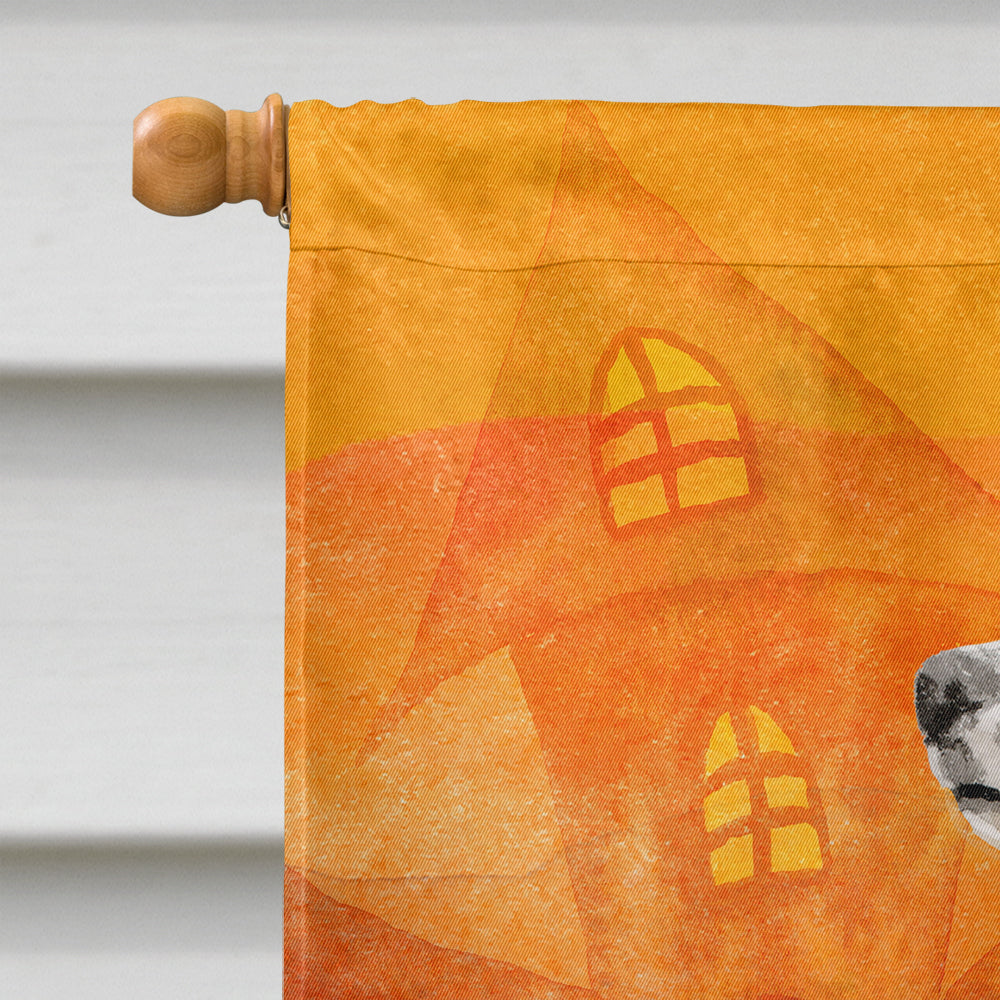 Halloween Border Collie House Flag 28x40 Porch Sleeve Pole Decorative Outside Yard Banner Artwork Wall Hanging, Polyester