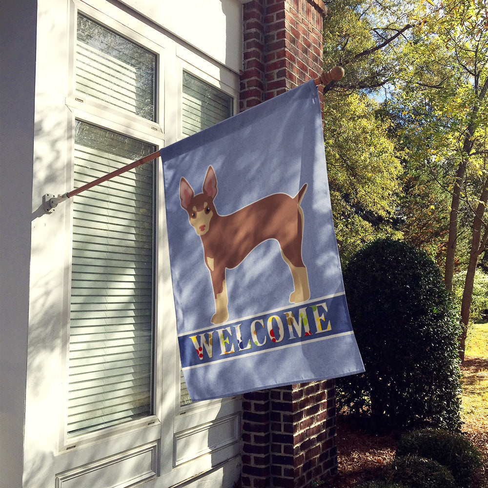 Miniature Fox Terrier Welcome House Flag 28x40 Porch Sleeve Pole Decorative Outside Yard Banner Artwork Wall Hanging, Polyester