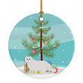 Chinchilla Persian Longhair Cat Christmas Ceramic Ornament Christmas Tree Hanging Decorations for Home Christmas Holiday, Party, Gift, 3 in, Multicolor