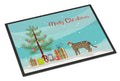Dragon Li Cat Christmas Doormat Indoor Outdoor 24H X 36W Front Door Mat Rugs for Entryway, Non Slip Washable Low Pile,