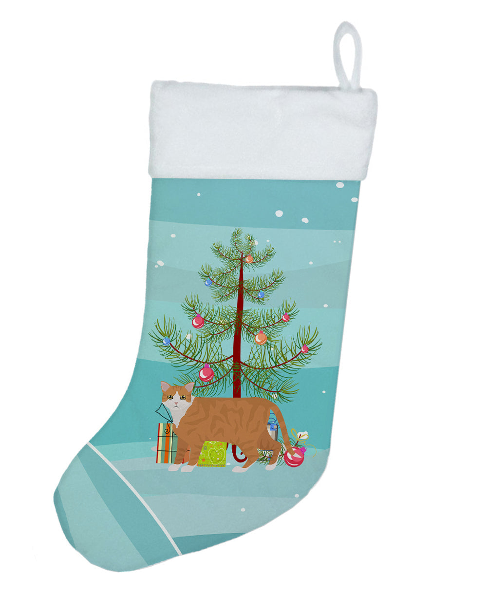 European Shorthair Cat Christmas Holiday Stocking Double-Sided Print, Polyester Suede,11x18, Made in USA