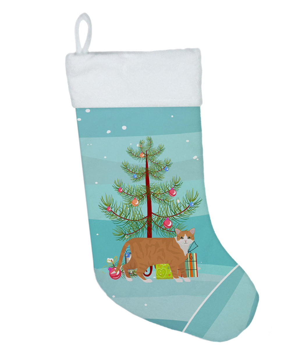 European Shorthair Cat Christmas Holiday Stocking Double-Sided Print, Polyester Suede,11x18, Made in USA