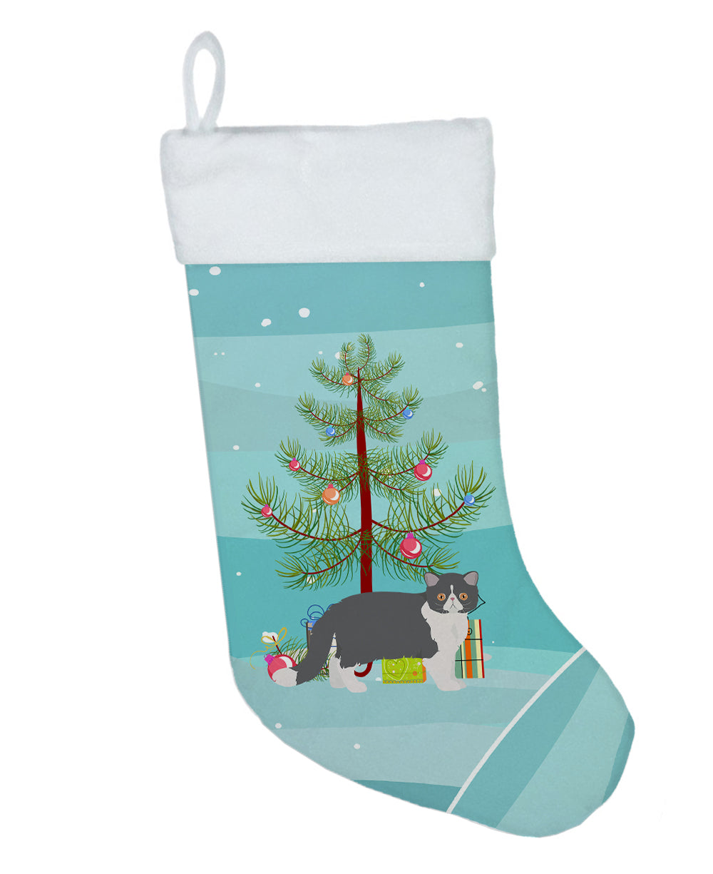 Exotic Shorthair Cat Christmas Holiday Stocking Double-Sided Print, Polyester Suede,11x18, Made in USA