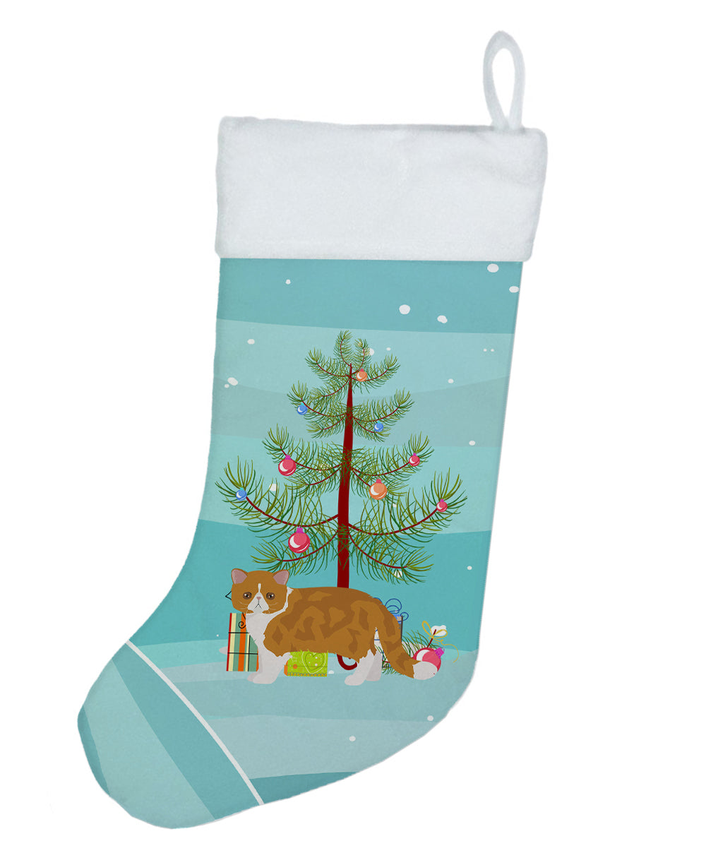 Exotic Shorthair Cat Christmas Holiday Stocking Double-Sided Print, Polyester Suede,11x18, Made in USA