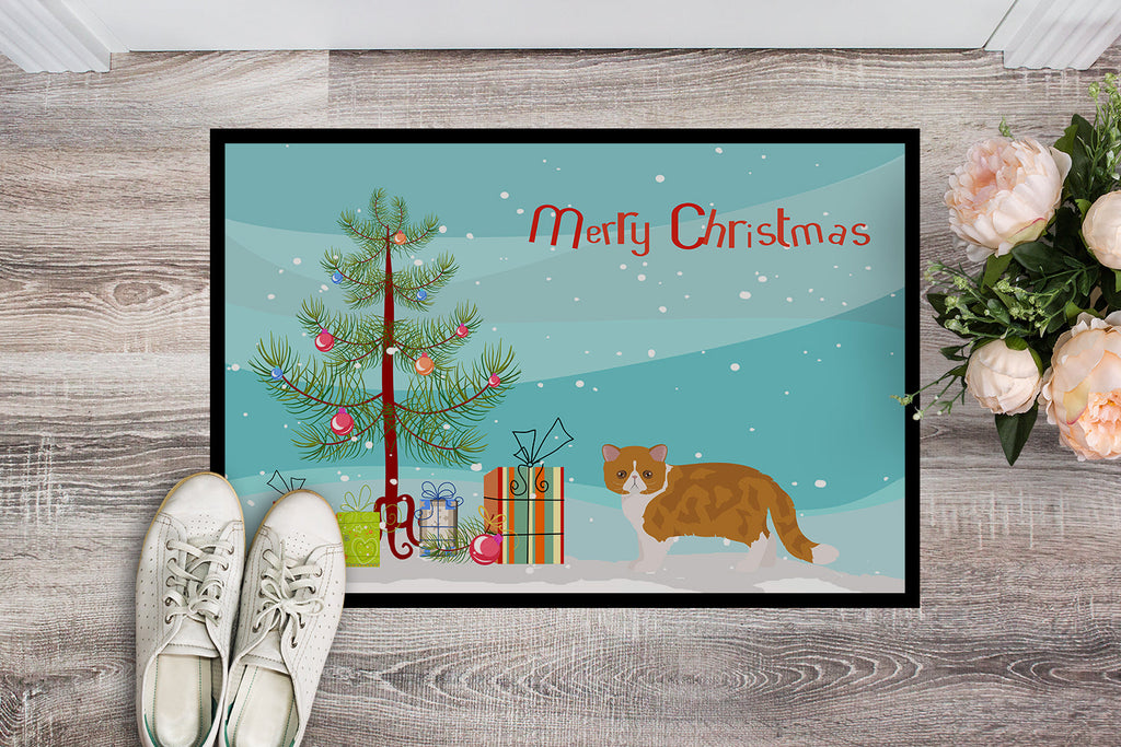 Exotic Shorthair Cat Christmas Doormat Indoor Outdoor 24H X 36W Front Door Mat Rugs for Entryway, Non Slip Washable Low Pile,