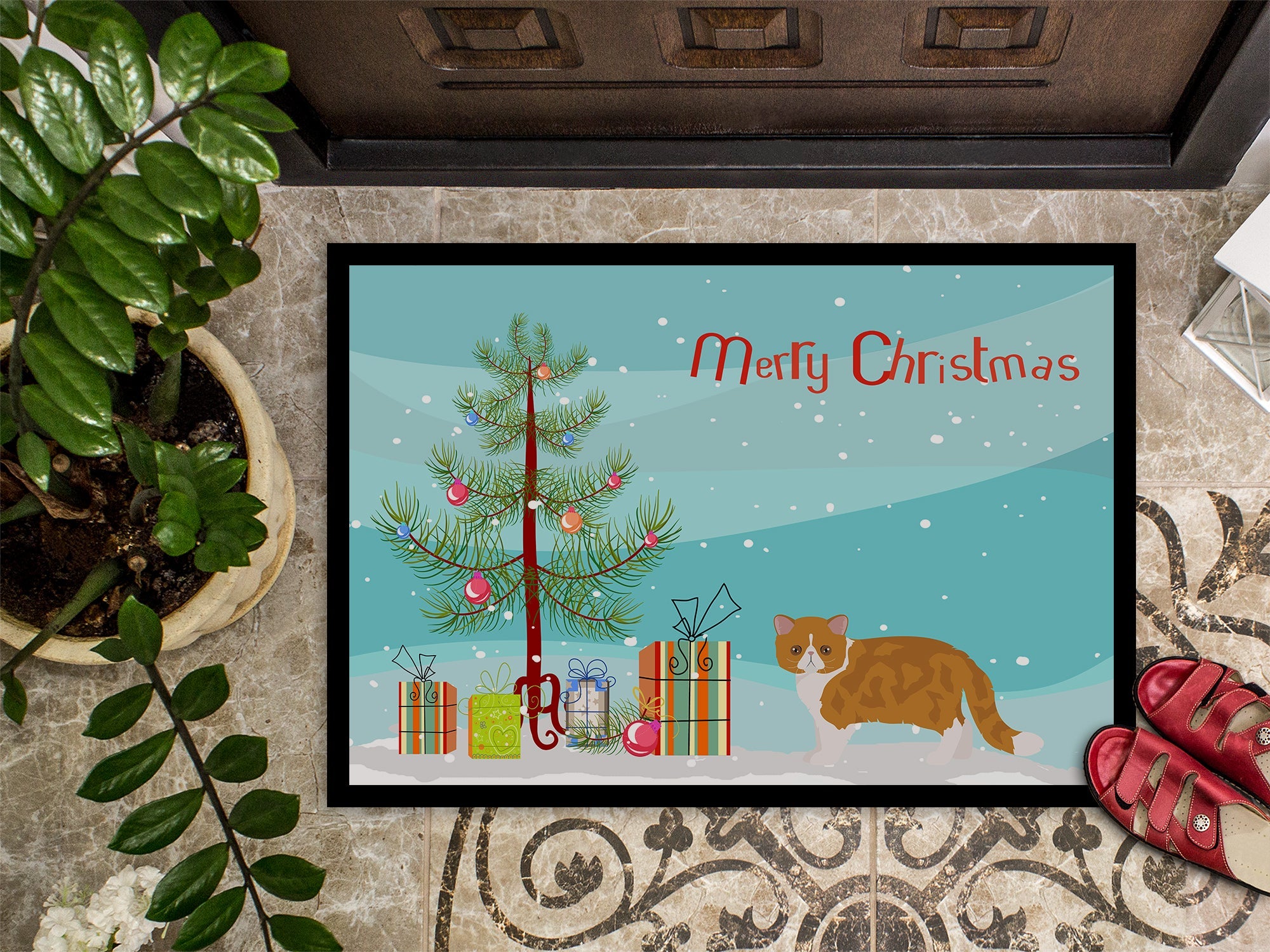Exotic Shorthair Cat Christmas Doormat Indoor Outdoor 24H X 36W Front Door Mat Rugs for Entryway, Non Slip Washable Low Pile,