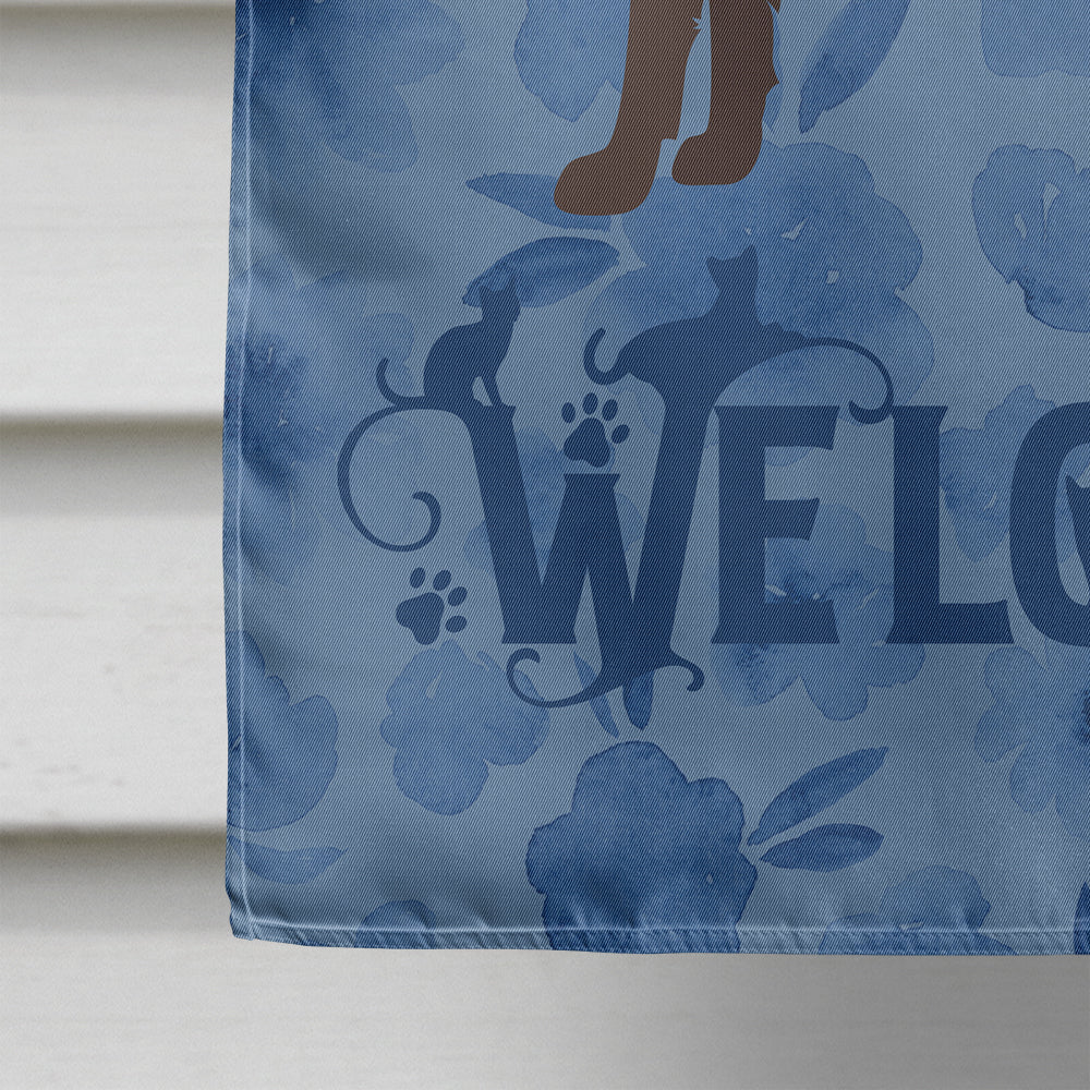 Colorpoint Longhair Cat Welcome House Flag 28x40 Porch Sleeve Pole Decorative Outside Yard Banner Artwork Wall Hanging, Polyester