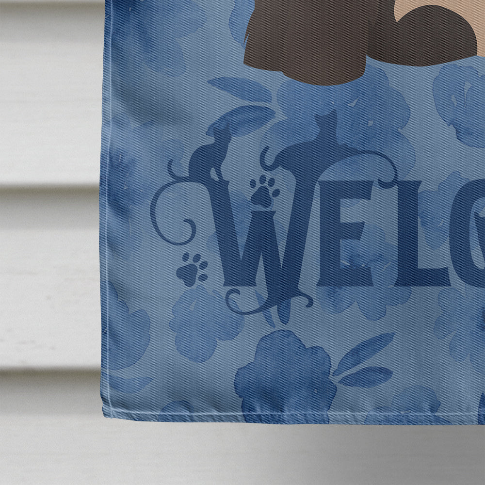 Colorpoint Persian Hymalayan #2 Cat Welcome House Flag 28x40 Porch Sleeve Pole Decorative Outside Yard Banner Artwork Wall Hanging, Polyester