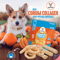 🎃🦴 Collagen Chew Sticks – 7" Pumpkin Flavor Dog Chews