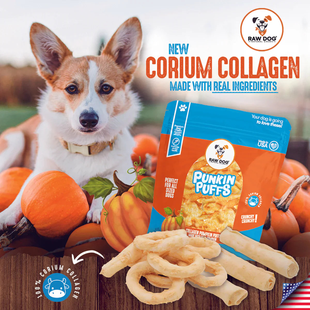 🎃🦴 Collagen Chew Sticks – 7" Pumpkin Flavor Dog Chews