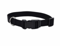 SHOWMAN DOG COLLAR