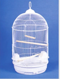 ROUND CAGE 13" DOME. MULTI COLOR