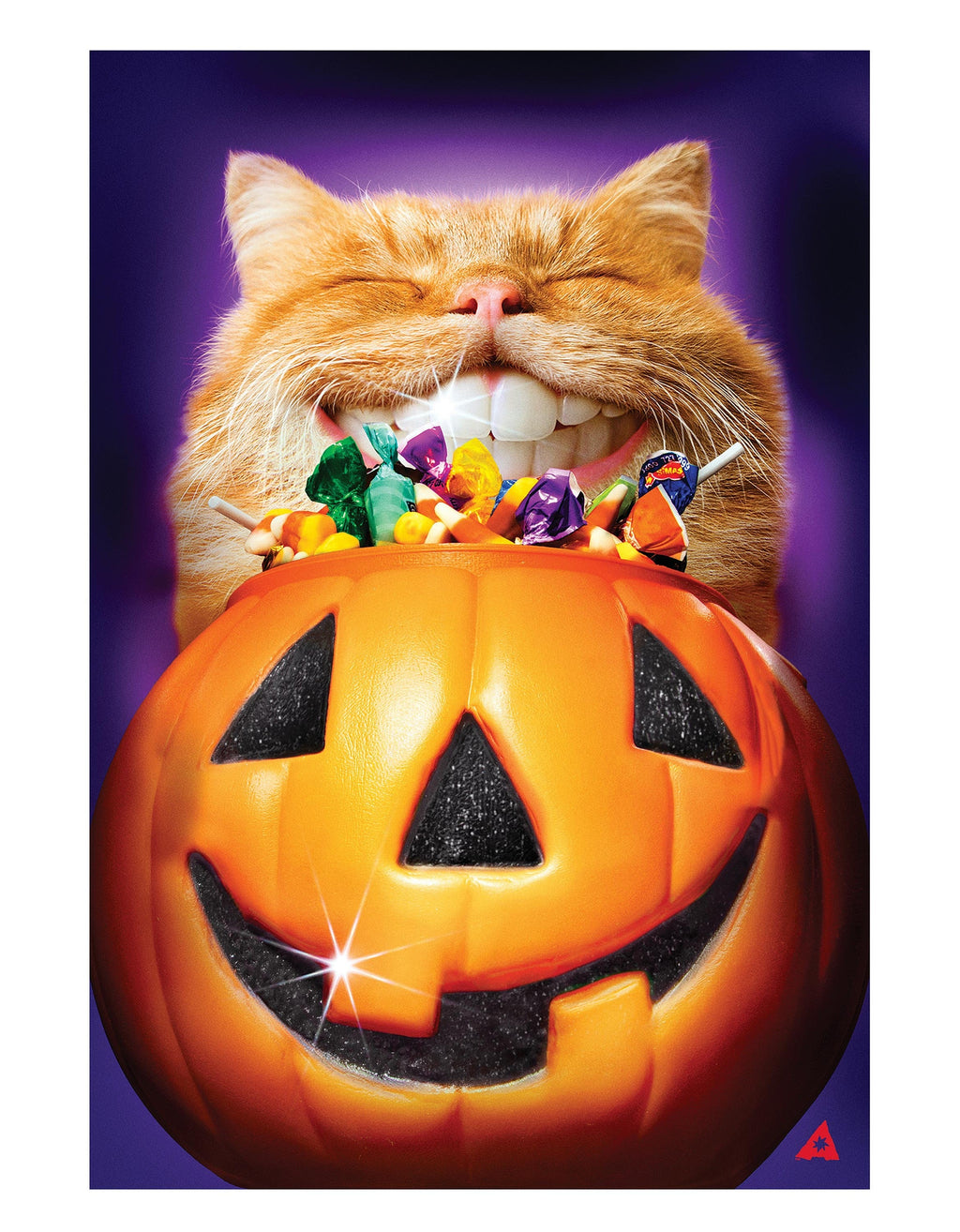 Cat Pumpkin Teeth 2 Sided Garden Flag