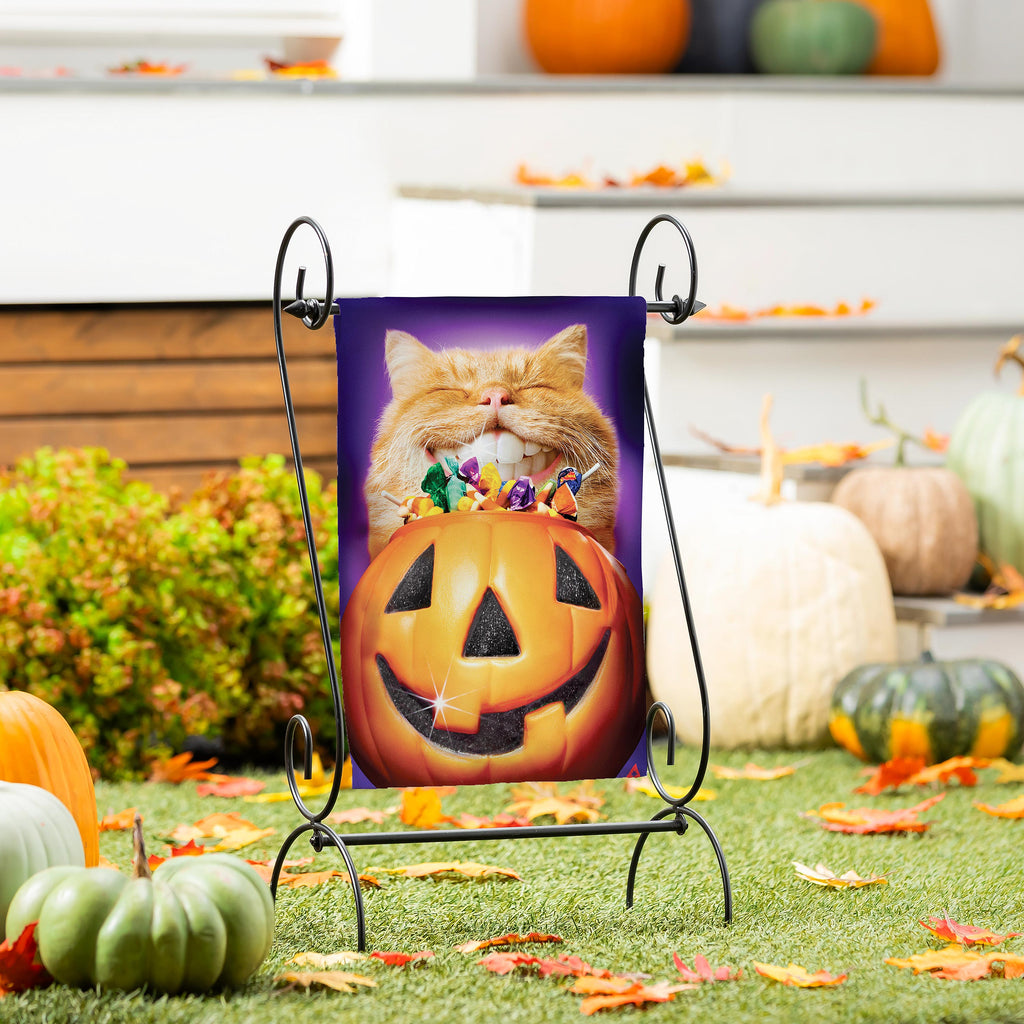 Cat Pumpkin Teeth 2 Sided Garden Flag