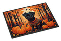 Affenpinscher Fall Doormat Indoor Outdoor 24H X 36W Front Door Mat Rugs for Entryway, Non Slip Washable Low Pile,