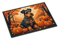 Airedale Terrier Fall Doormat Indoor Outdoor 24H X 36W Front Door Mat Rugs for Entryway, Non Slip Washable Low Pile,