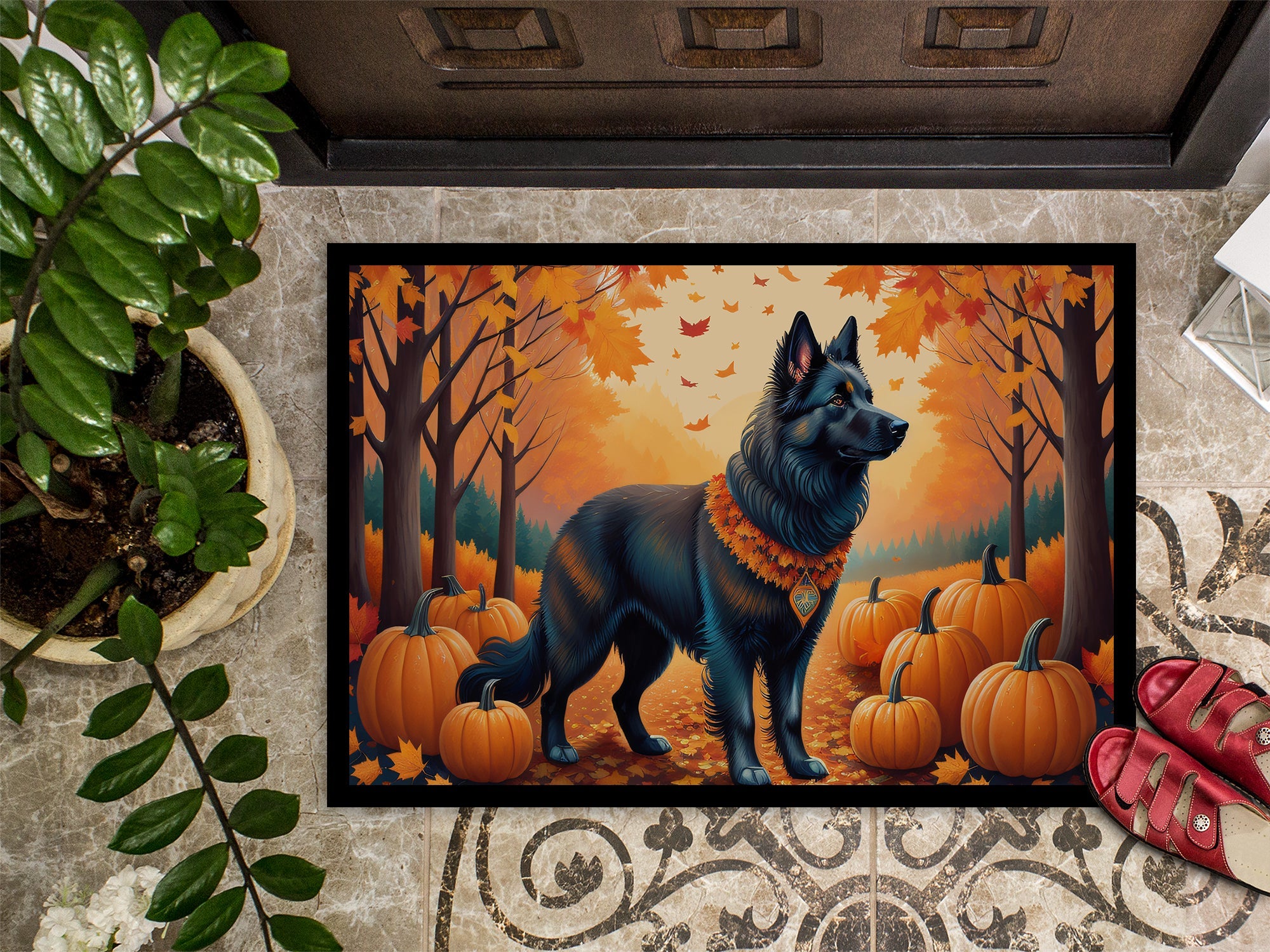 Belgian Sheepdog Fall Doormat Indoor Outdoor 24H X 36W Front Door Mat Rugs for Entryway, Non Slip Washable Low Pile,