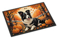 Border Collie Fall Doormat Indoor Outdoor 24H X 36W Front Door Mat Rugs for Entryway, Non Slip Washable Low Pile,