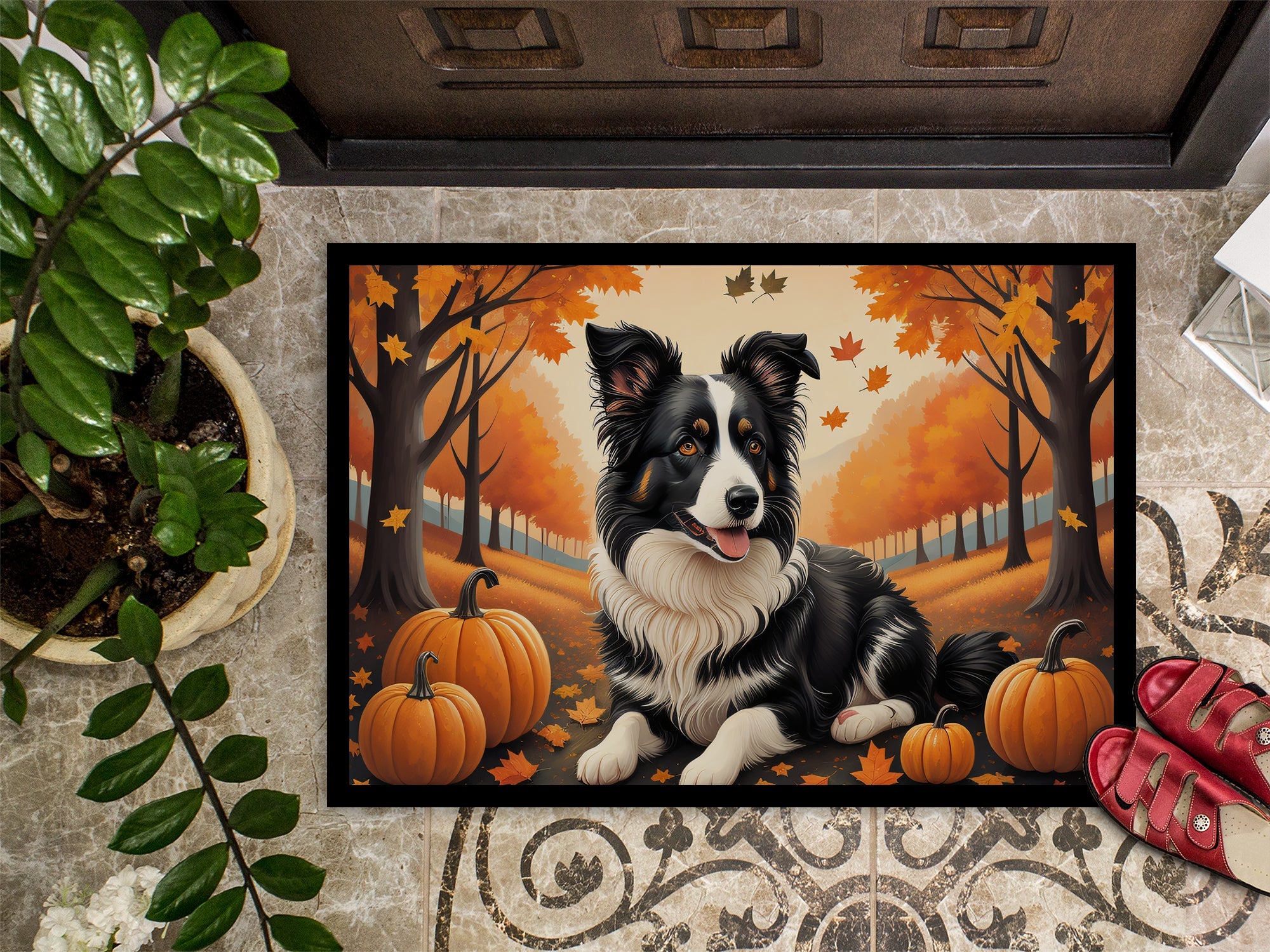 Border Collie Fall Doormat Indoor Outdoor 18H X 27W Front Door Mat Rugs for Entryway, Non Slip Washable