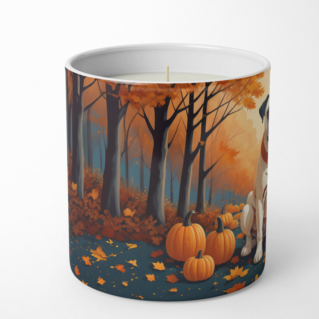 White Boxer Fall Decorative Soy Candle Nature Soy Wax Essential Oil Home Decor Ideal for Bedroom Kitchen Bath Office Gift, 10 oz