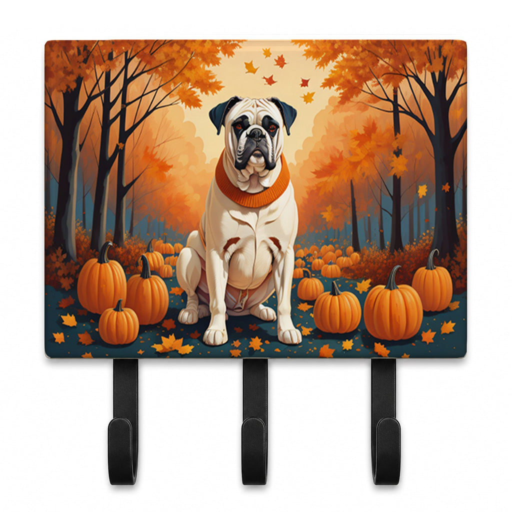 White Boxer Fall Leash or Key Holder Wall Hooks, Coat Rack Wall Mount, for Hanging Keys, Towels, Aprons, Leashes
