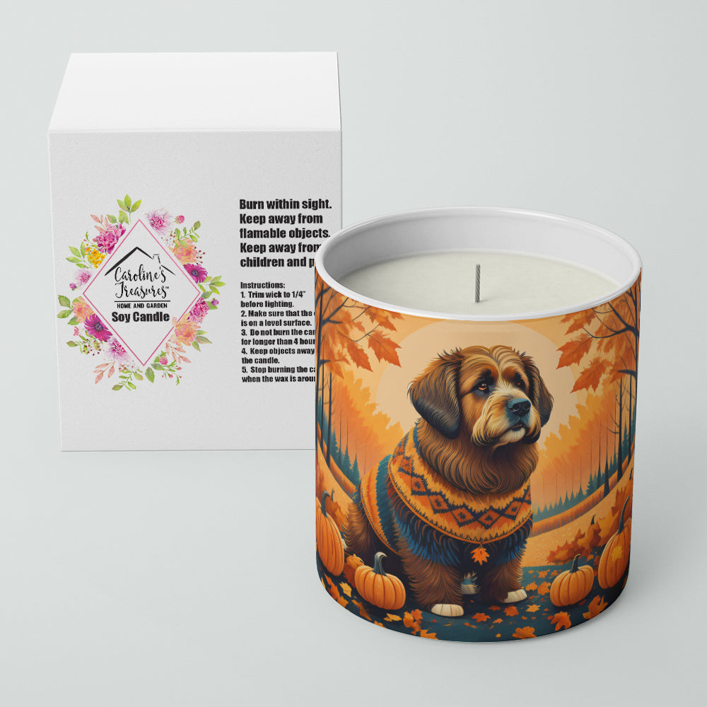 Briard Fall Decorative Soy Candle Nature Soy Wax Essential Oil Home Decor Ideal for Bedroom Kitchen Bath Office Gift, 10 oz