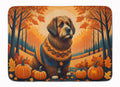 Briard Fall Memory Foam Kitchen Mat Machine Washable Anti-Fatigue Cushion Comfort Bath or Kitchen Rug