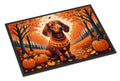 Dachshund Fall Doormat Indoor Outdoor 24H X 36W Front Door Mat Rugs for Entryway, Non Slip Washable Low Pile,