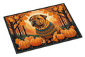 Shar Pei Fall Doormat Indoor Outdoor 24H X 36W Front Door Mat Rugs for Entryway, Non Slip Washable Low Pile,