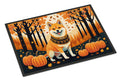 Shiba Inu Fall Doormat Indoor Outdoor 24H X 36W Front Door Mat Rugs for Entryway, Non Slip Washable Low Pile,