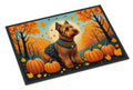 Welsh Terrier Fall Doormat Indoor Outdoor 24H X 36W Front Door Mat Rugs for Entryway, Non Slip Washable Low Pile,